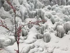 -黑龙潭风景区