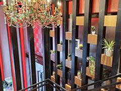 -红牌美蛙鱼头火锅(万辉国际广场店)