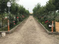 -同銮特种养殖场·龙虾垂钓