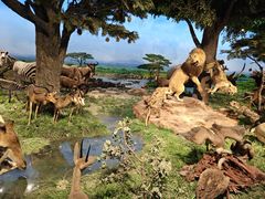 -国家自然博物馆