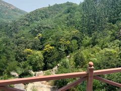 -黄金寨原生态旅游区