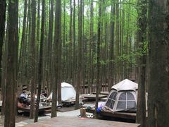 -山王坪喀斯特国家生态公园