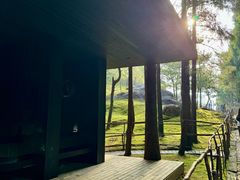 -玉苍山国家森林公园