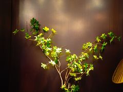 景观位-老屋印象·酸菜鱼新川菜(义乌之心店)