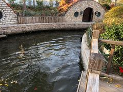 -南宫五洲植物乐园