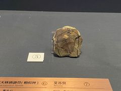-贵州省博物馆(新馆)