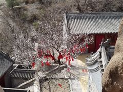 -北京凤凰岭