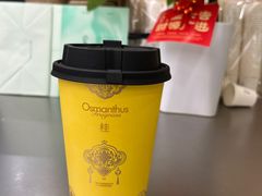 -爷爷不泡茶 NOYEYENOTEA(长沙五江天街店)