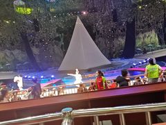 -灵玲国际马戏城