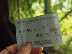-合肥滨湖国家森林公园