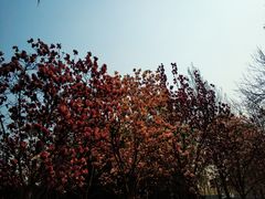-北极寺公园
