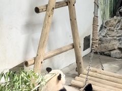 -杭州动物园