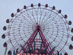 -淄博花灯齐彩城