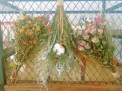 -翠娜家· Trina’s西餐厅(高新万达店)