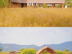 -良渚古城遗址公园
