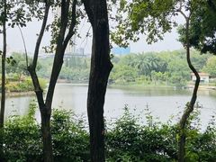 -深圳龙潭公园
