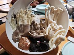 -洪氏嗨捞·广东猪肚鸡·椰子鸡火锅(西咸万象城店)