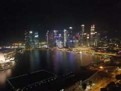-新加坡丽思卡尔顿美年酒店