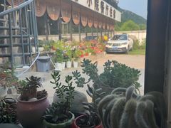 -遇见小院—虹鳟鱼•农家菜(怀柔店)