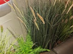 -必胜客(太白路店)