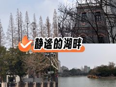 -荷兰街
