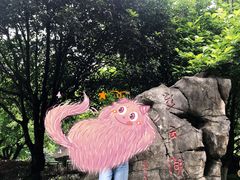 -重庆彩云湖湿地公园
