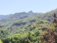 -石台牯牛降景区