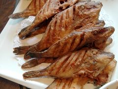 -船歌鱼水饺(高新园区店)