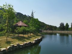 -黄陂区野村谷景区