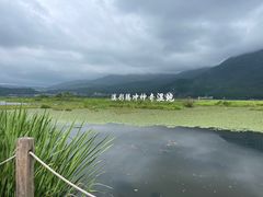 -腾冲北海湿地