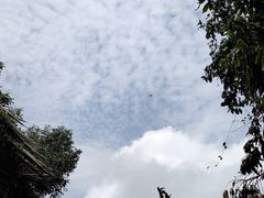 -呀诺达热带雨林