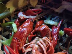 -蚝翅·海鲜粥·烧烤·宁夏滩羊季(玉米楼店)