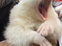 -藦茜花园宠物主题亲子互动体验馆(国顺东路店)