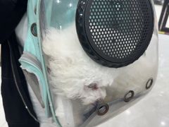 -安安宠医宠物医院·异宠·犬猫内科(岳阳分院)