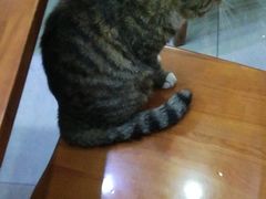 -延成苑韩式烤肉店(长春道店)