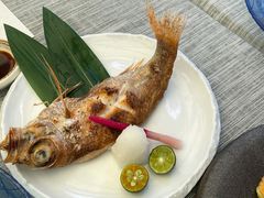 红睦鱼-炉匠炉端烧·酒(国金中心商场店)