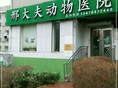 -邢大夫动物医院