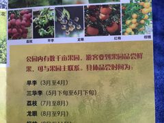 -广州市石门国家森林公园