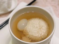 松茸炖绣球豆腐-新光酒家·河豚·海鲜·蟹料理(浦东店)