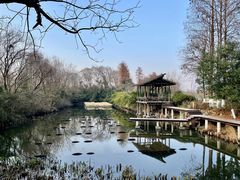 -西溪国家湿地公园