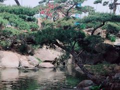 -罗红摄影艺术馆