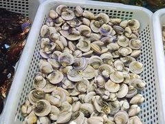 -宝燕壹号(徐汇店)