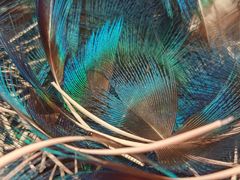 -十八字金·银饰·开蚌DIY·手工体验团建(君太百货店)