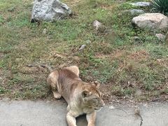 -西安秦岭野生动物园