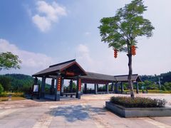 -广州白江湖森林公园