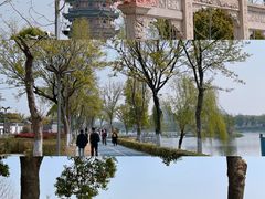 -葛仙湖公园