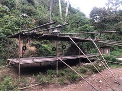 -西双版纳原始森林公园