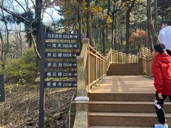 -鲁山国家森林公园