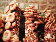 -谭鸭血老火锅(漳州路店)