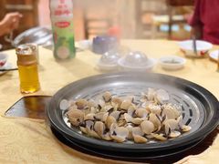 白贝-渔文乐农庄